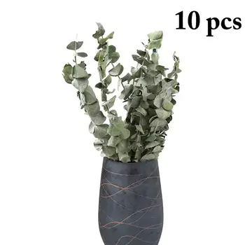 10шт 1 Връзка клони на растенията, Модерни декоративни Сушени листа от евкалипт, Клони и листа за домашно сватбена декорация в помещението